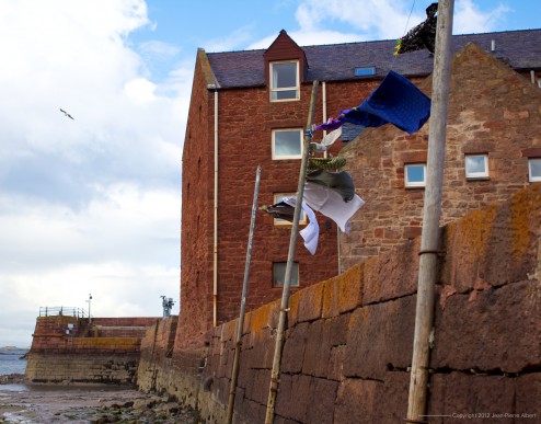 NorthBerwick2012_04