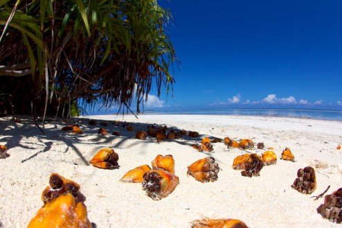 Matemwe Beach