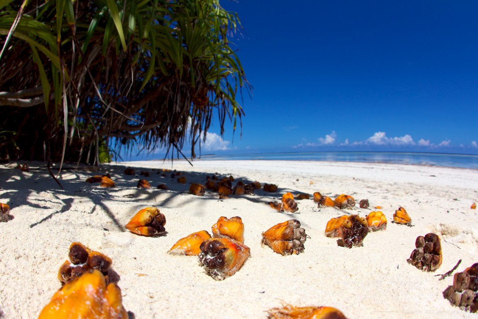 Matemwe, Zanzibar